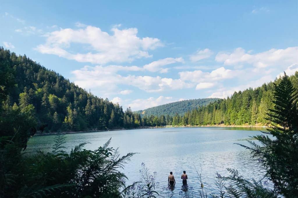 Lullaby House - Large, Full Comfort 5 Star Chalet House In The Vosges Ramonchamp Eksteriør bilde