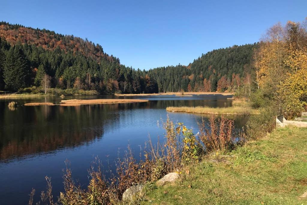 Lullaby House - Large, Full Comfort 5 Star Chalet House In The Vosges Ramonchamp Eksteriør bilde